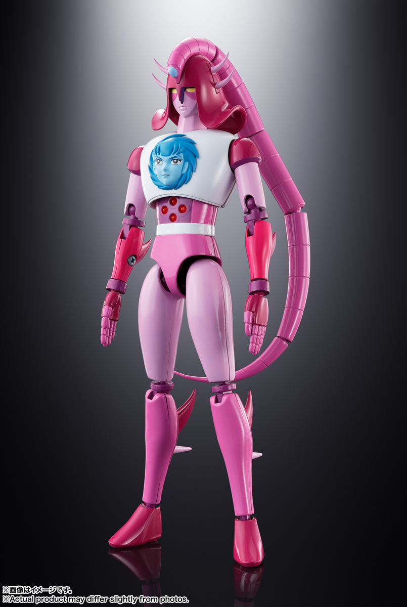 Soul of Chogokin GX-108 Rhein X1 & GX-11R Dianan A